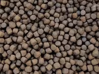 Թառափի կեր (Sterleci) — լուսանկար 1