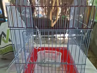 Թռչունի վանդակներ — լուսանկար 3