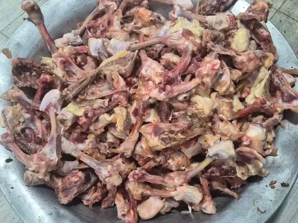 Շան կեր հավի ատխոդ (ոսկոր)