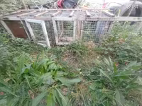 Ճագարի Վանդակ 2 տեղանոց — լուսանկար 4