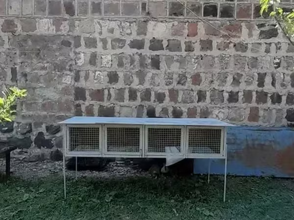 Նապաստակի բուն տնակ
