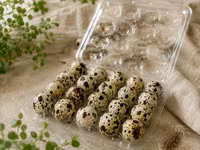 Quails — photo 1