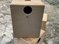 Կարելայի ձվադրման բներ — photo 5