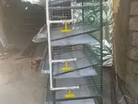 Լոր բների պատվերով վաճառք — Foto 4