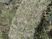 Խոտի տուկ, Յոնջա և խառը — լուսանկար 3