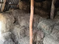 Խոտի տուկ խոտ սարի խոտ — լուսանկար 3