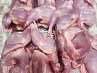 Quails — Foto 4