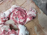 Խոզի ոչ շատ յուղոտ թարմ միս ֆերմայից — Foto 1