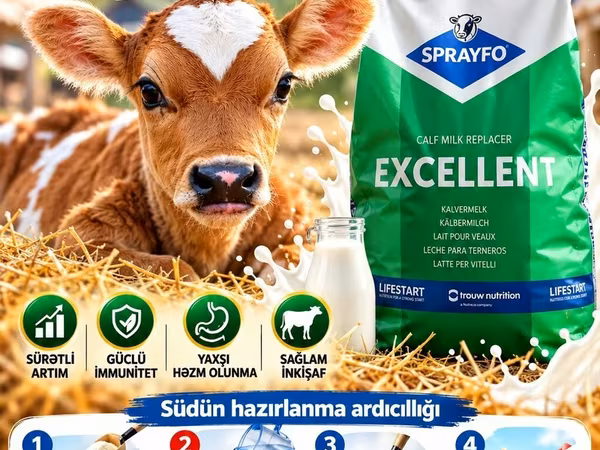 SPRAYFO Exellent – Buzovlar üçün quru süd / süd / süd qurusu / buzov