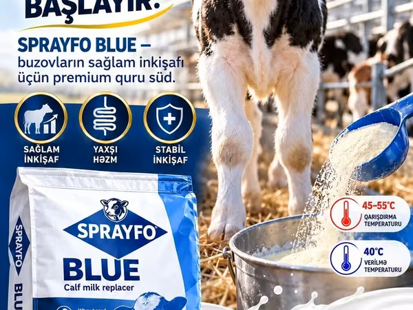 SPRAYFO BLUE – Buzovlar üçün quru süd /süd/quru süd/ süd