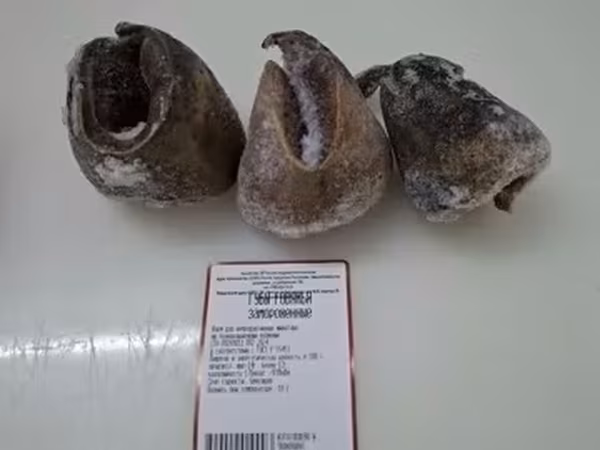 Губы говяжьи замороженные