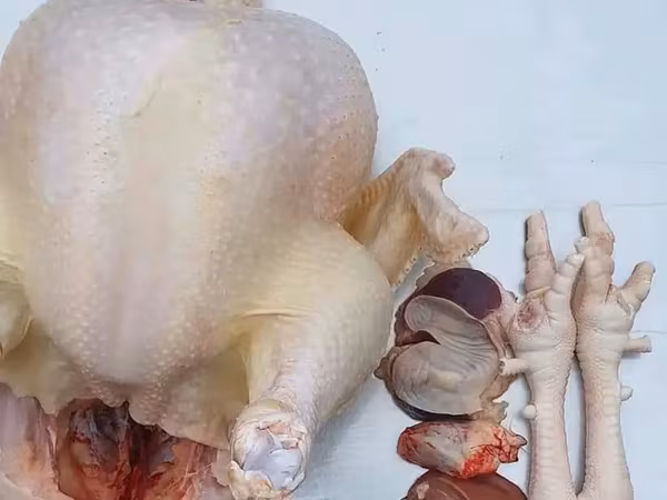 Se vinde carne de curcan și cocoși de casă!