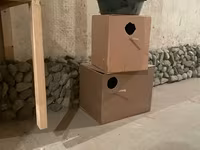 Ծնարան թութակների համար — լուսանկար 2