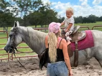 فرس, Quarter Horse — الصورة 3