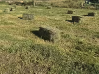 Խոտի տուկ Խառ խոտ — photo 5