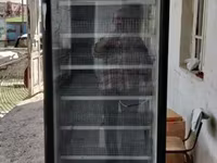 Ինկուբատոր թռչունների ձվերի ինկուբացիայի համար — photo 2