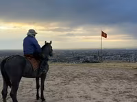 Ձի, Hanoverian — լուսանկար 2