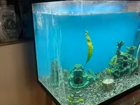 Ակվարիոմ 150 լիտր — Foto 2