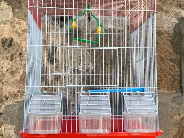 Վանդակի չափը 46x26x33