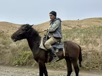 Айғыр, Azerbaijan horse — 2-сурет