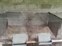 Ճագարի վանդակ մետաղից — լուսանկար 1