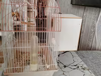 Dalğalı tutuquşular üçün qəfəs dəsti - Qövslü üst konstruksiyalı, ağ — Foto 3