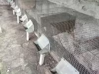 Ճագարի վանդակ մետաղից — լուսանկար 3