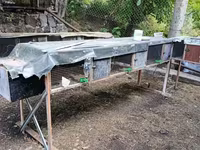 Նապաստակի բներ վանդակ — լուսանկար 3