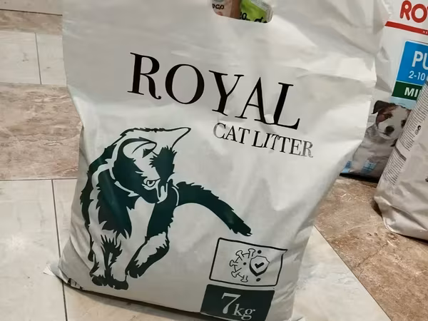 Royal cet katvi avaz կատվի համար տեղական լցանութ