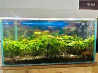 Ակվարիում 130 լիտր — Foto 3