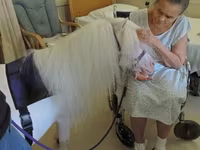 母马, Miniature horse — 照片 1