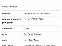 Ձի, Standardbred — լուսանկար 5