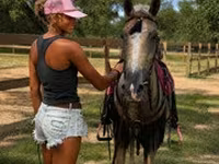 Ձի, Quarter Horse — լուսանկար 7