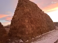 Ցորենի սալոմ 1,10 1,20 տուկեր — Foto 1
