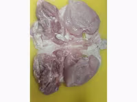 Հավի բուդ ոսկրահանված շաուրմայի — foto 1