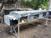Նապաստակի բներ վանդակ — լուսանկար 2
