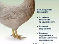 Хай-Лайн — сүрөт 1