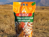 Мучка кормовая гороховая — լուսանկար 4