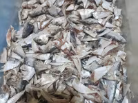 Klosu 50 qepik baliq atxodu yagi bawi icalati gun erzinde olur — լուսանկար 1