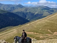 Айғыр, Azerbaijan horse — 3-сурет