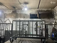 Սայյլակ խոզերի և այլ կենդանիների համար — photo 3