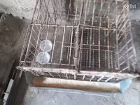 Բլուդեր, ինկուբատոր, բույն փոքր, բոլորը միասին — foto 1