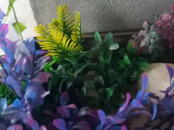 Ակվարիումի արհեստական բույսեր ծաղիկներ տարբեր գույնզգույն գեղեցիկ զարդարանք