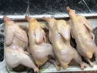 Quails — լուսանկար 3