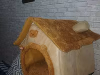 Շունիկի բուն/տունիկ — Foto 1