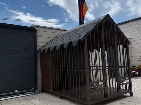 Շան բների մեծ ընտրանի շան բուն