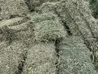 Խոտի տուկ, Յոնջա և խառը — լուսանկար 2