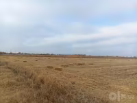 Шоли сомон прес сотилади 6500 сум — լուսանկար 1