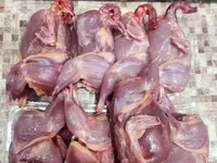 Quails — फ़ोटो 7