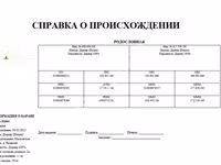 Խոյ, Dorper sheep — լուսանկար 8